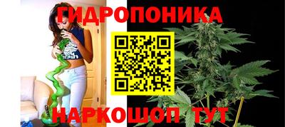 мяу мяу мука Кинель