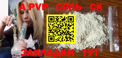 твердый Кингисепп