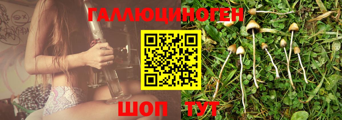 Галлюциногенные грибы Magic Shrooms Кудрово
