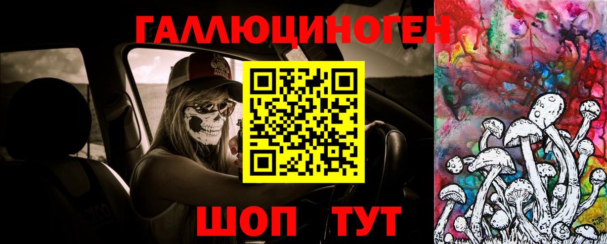 купить закладку  Псилоцибиновые грибы GOLDEN TEACHER  Вход с VPN  Галлюциногенные грибы прущие грибы  Кудрово 